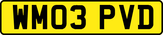 WM03PVD