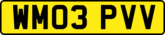 WM03PVV