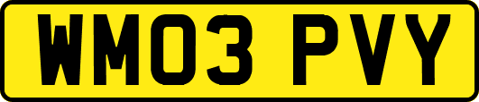 WM03PVY