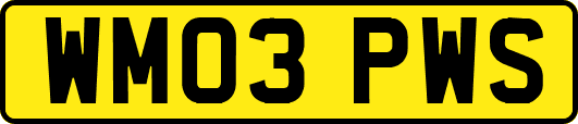 WM03PWS