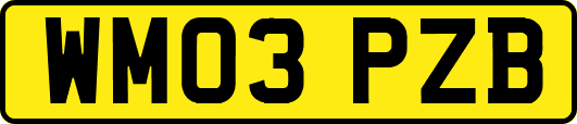 WM03PZB