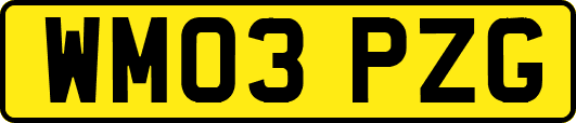 WM03PZG