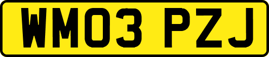 WM03PZJ