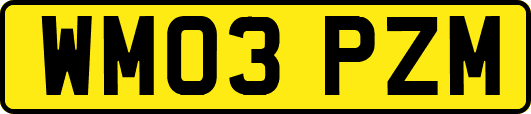 WM03PZM
