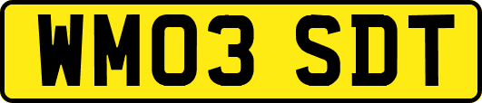 WM03SDT