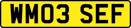 WM03SEF