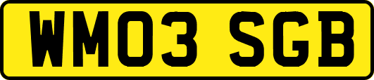WM03SGB