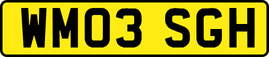WM03SGH