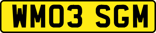 WM03SGM