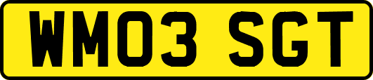WM03SGT