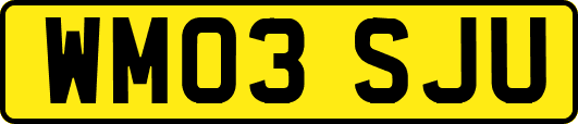 WM03SJU