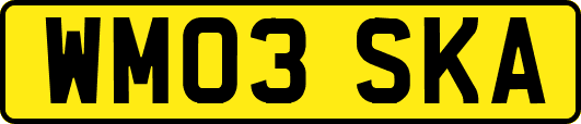 WM03SKA