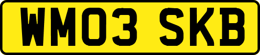 WM03SKB