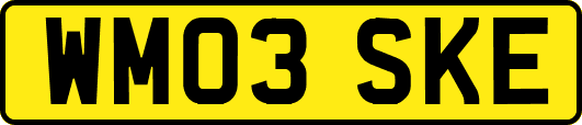 WM03SKE