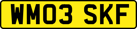 WM03SKF