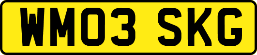 WM03SKG