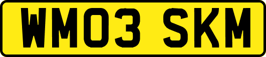 WM03SKM