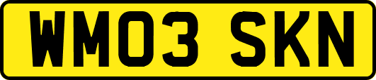 WM03SKN