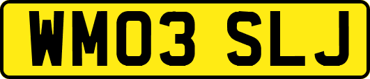WM03SLJ
