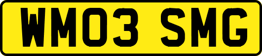 WM03SMG