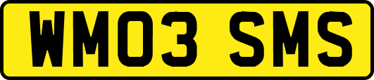 WM03SMS
