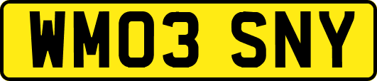 WM03SNY