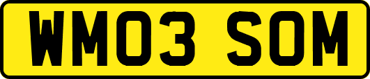 WM03SOM