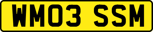 WM03SSM