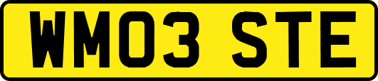 WM03STE