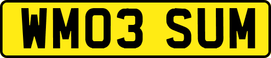 WM03SUM