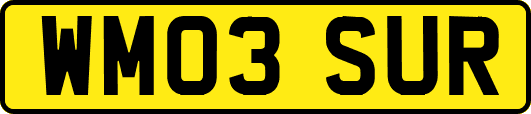 WM03SUR