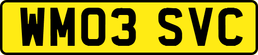 WM03SVC