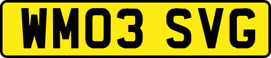 WM03SVG