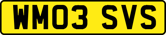 WM03SVS