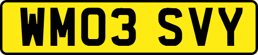 WM03SVY