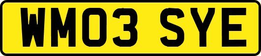 WM03SYE