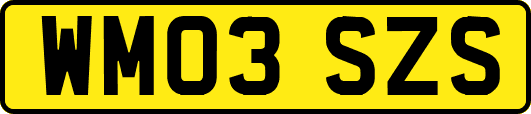 WM03SZS