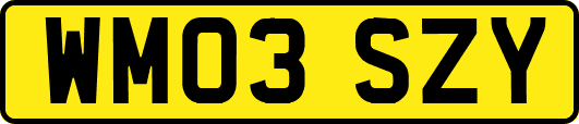WM03SZY