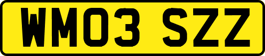 WM03SZZ