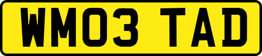 WM03TAD