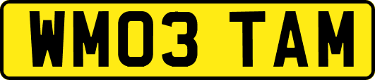 WM03TAM