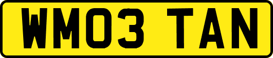 WM03TAN