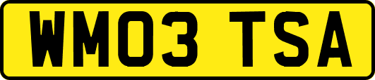 WM03TSA