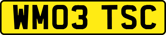 WM03TSC