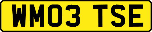 WM03TSE