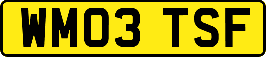 WM03TSF