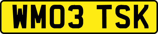 WM03TSK