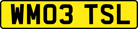 WM03TSL
