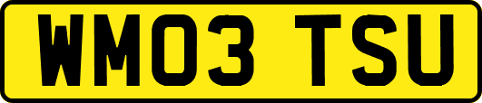 WM03TSU