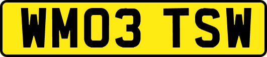 WM03TSW